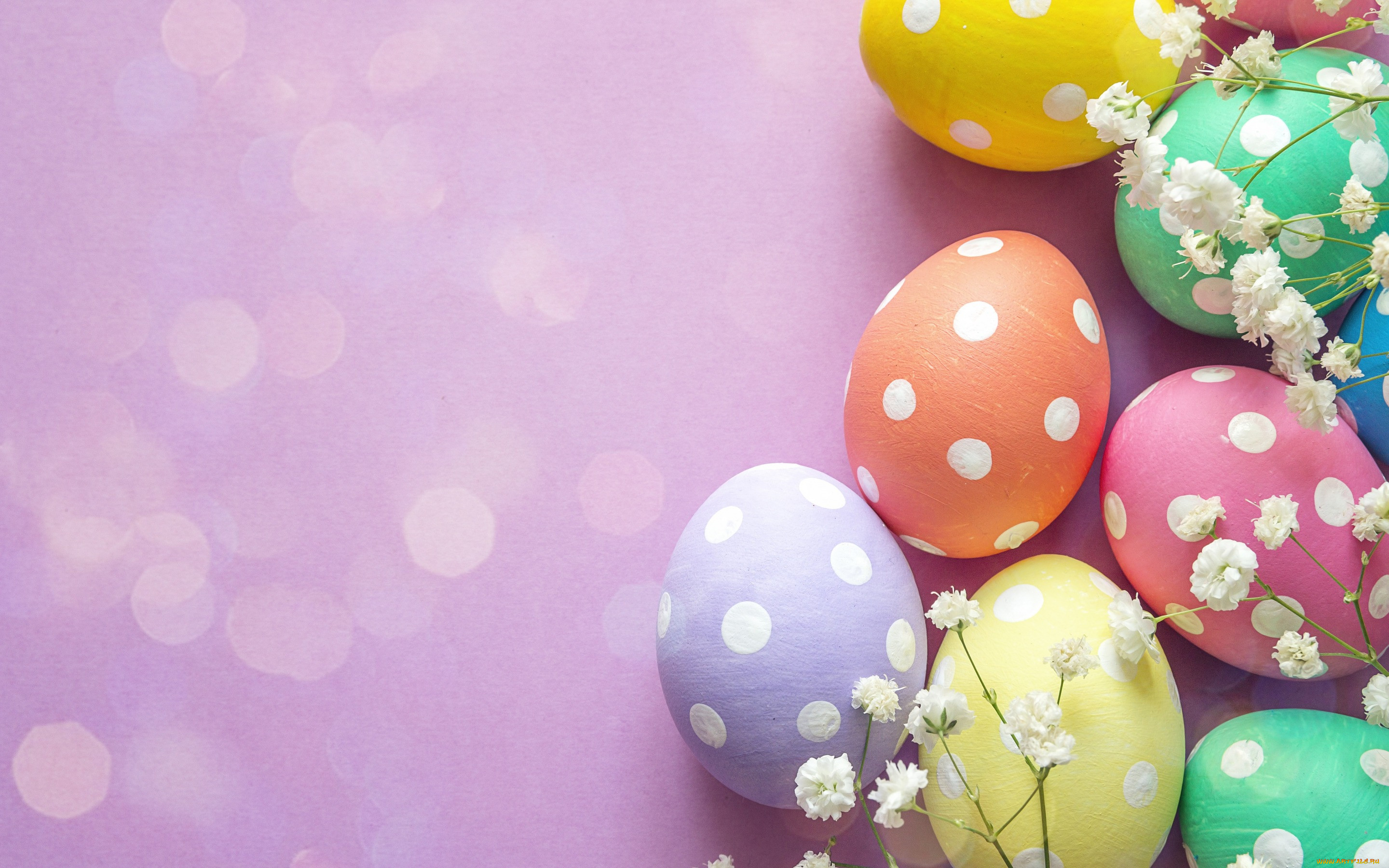 , , , decoration, wood, easter, happy, , , spring, flowers, eggs, 